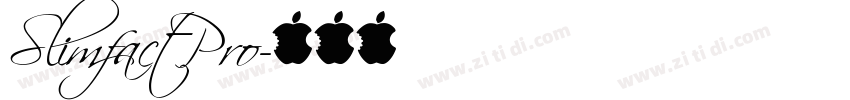 Slimfact Pro字体转换